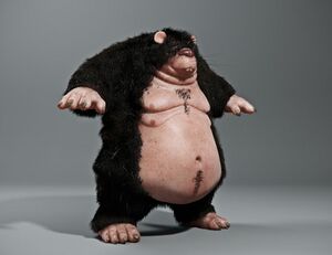 Fat Rat1.jpg